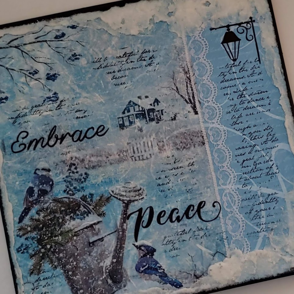 Winter Bird Project - Embrace Peace
